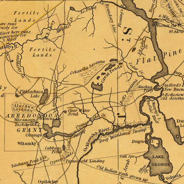 Map detail showing the Arredondo land grant (lower left) and additional land owned by Levy, 1823. State Archives of Florida.Picture
