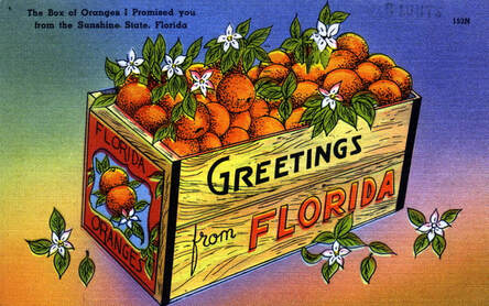 PictureFlorida postcard. State Archives of Florida.